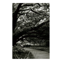 The Tree posters by rogerscj The Tree posters
