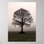 The Tree Print