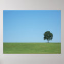 The Tree posters