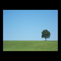 The Tree posters
