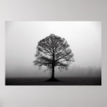The Tree posters