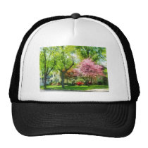 The Trees Are Flowering On My Street hats