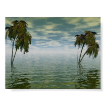 The Tropics After The Storm posters