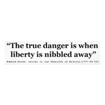 The True Danger is When Liberty is Nibbled Away Photo Art