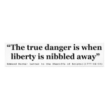 The True Danger is When Liberty is Nibbled Away Photo Art