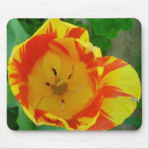 The Tulip mousepads by minx267 The Tulip mousepads