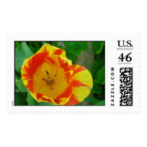 The Tulip Stamp