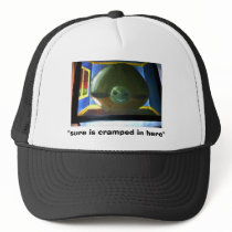the turtle in the room, hats