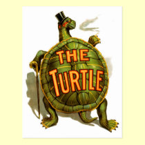 The Turtle postcards