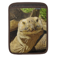 The Turtle's Smile iPad Sleeve