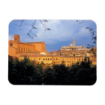The Tuscan village of Sienna, Italy. Vinyl Magnet