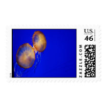 The two of us stamps