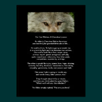 The TWO WOLVES CHEROKEE TALE Art Poster posters