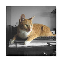 The Typist magnets