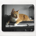 The Typist mousepads