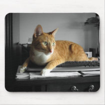 The Typist mousepads