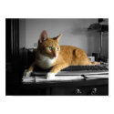 The Typist posters by wottwin The Typist posters