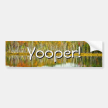The U. P.: Autumn Birch Tree Reflections Bumper Stickers