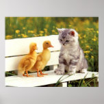 The Ugly Duck Poster