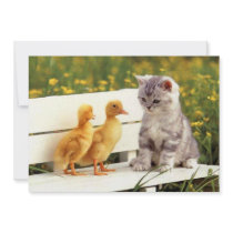 The Ugly Duckling Invitation