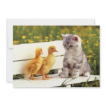 The Ugly Duckling Invitation