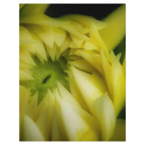 The Unfolding Full Color Flyer