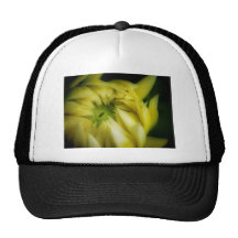 The Unfolding Hat