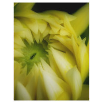 The Unfolding letterhead