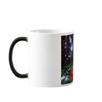 The Universal Consciousness is a Fierce Kitty mugs
