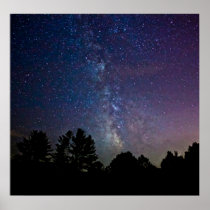 The Universe Above the Trees