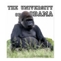 The University of Obama Zoology Dept posters