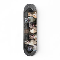 The Untouchables - Pitbull Champion Series Skate Decks