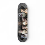 The Untouchables - Pitbull Champion Series Skate Decks