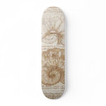 The uterus of a gravid cow skateboards