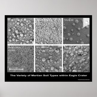 The Variety of Martian Soil Types in Eagle Crater Posters