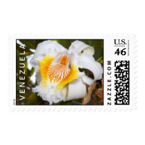 The venezuelan orchid stamp