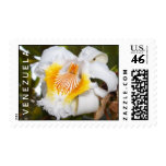 The venezuelan orchid stamp