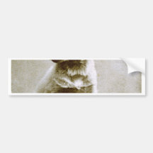 the victor bumper stickers