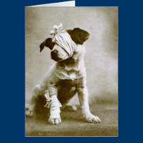 the victor cards
