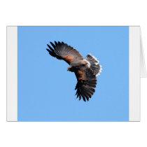 The view from above greeting card
