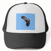 The view from above trucker hat