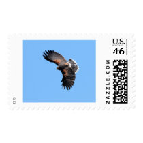 The view from above postage stamp