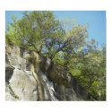 The View From Below posters