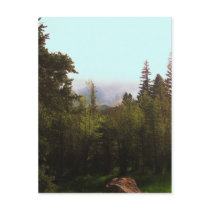 The View postcards