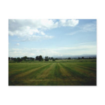 The View Postcard