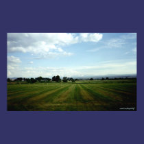 The View posters by KingDaddy The View posters