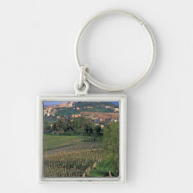 The village of San Gimignano sits in the rolling Key Chain
