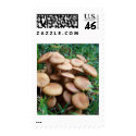 THE VILLAGE PLACE postage by MAPASUE THE VILLAGE PLACE postage