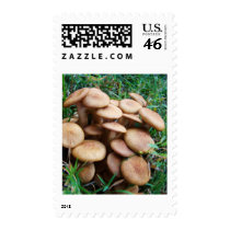 THE VILLAGE PLACE postage by MAPASUE THE VILLAGE PLACE postage