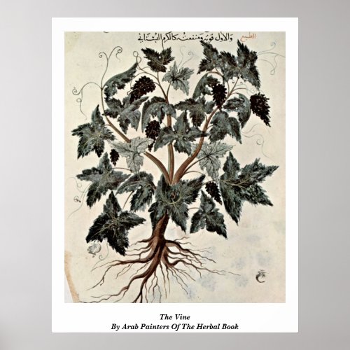 The Vine By Arab Painters Of The Herbal Book Posters